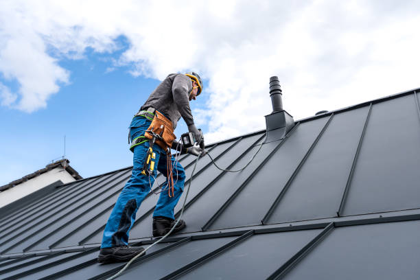 Best Gutter Installation and Repair  in Port Norris, NJ